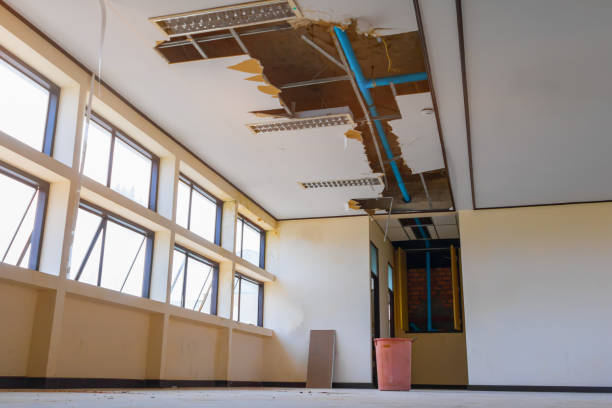Best 24-hour water damage restoration  in Comstock Park, MI