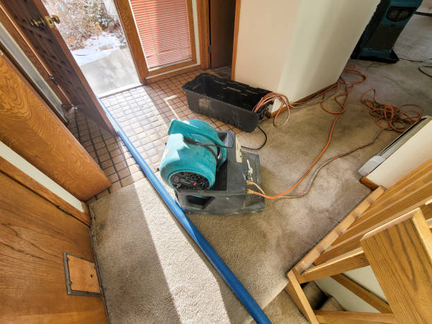 Best Flooded house restoration  in Comstock Park, MI