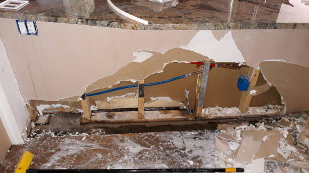 Best Water damage cleanup near me  in Comstock Park, MI