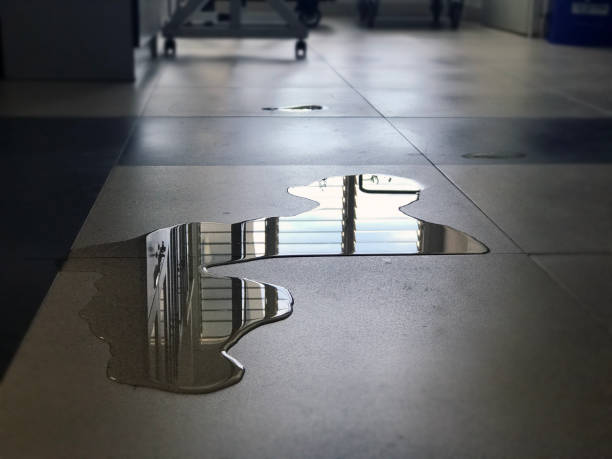 Best 24/7 water damage repair  in Comstock Park, MI