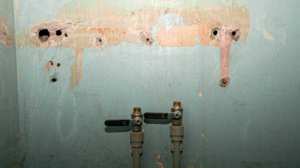 Best Commercial water damage restoration  in Comstock Park, MI