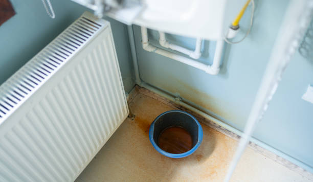 Best Carpet water damage restoration  in Comstock Park, MI