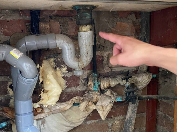 Best Water damage cleanup near me  in Comstock Park, MI