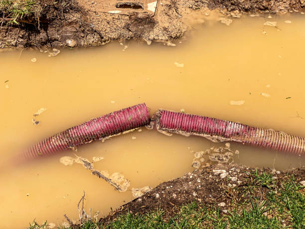 Best Sewage cleanup and water damage restoration  in Comstock Park, MI