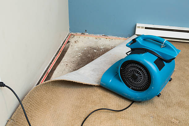 Best Local water damage restoration  in Comstock Park, MI